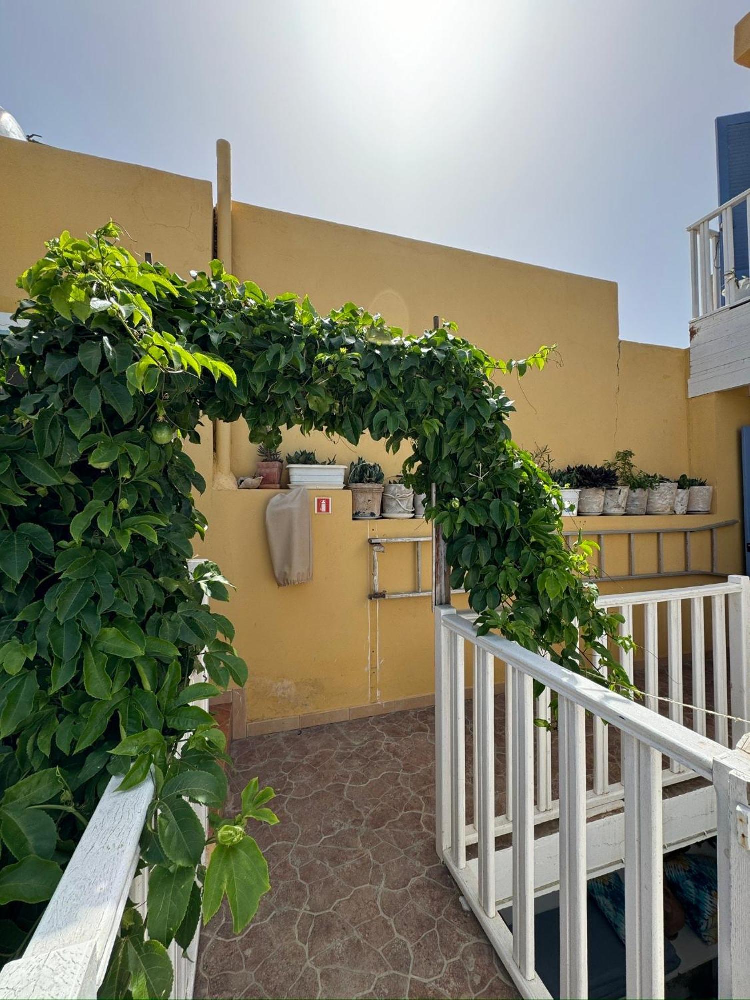 B&B Mi Ma Bo, Sal Rei, Boa Vista, Cape Verde, Free Wi-Fi Exterior foto