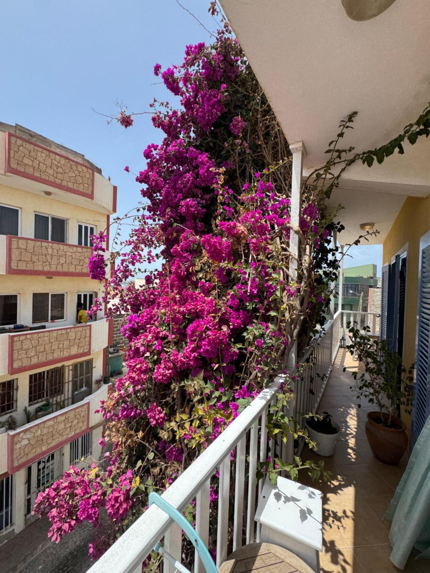 B&B Mi Ma Bo, Sal Rei, Boa Vista, Cape Verde, Free Wi-Fi Exterior foto